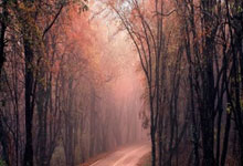 开云：[澳网]鲁德晋级澳网男单第二轮.