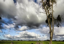 英超：马尔穆什“帽子戏法”曼城队4-0纽卡斯尔联队.