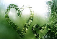 斯坦福德将任索尔海姆杯美国队队长 客场挑战欧洲队.