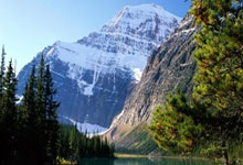 [网球]张帅／谢淑薇止步女双四强.