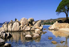 斯坦福德将任索尔海姆杯美国队队长 客场挑战欧洲队.